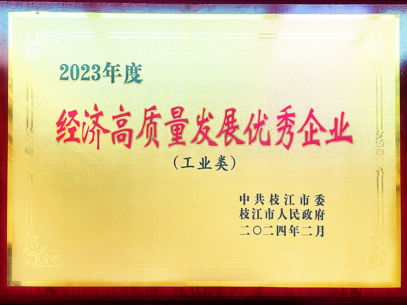 2023年度“经济高质量发展优秀企业”