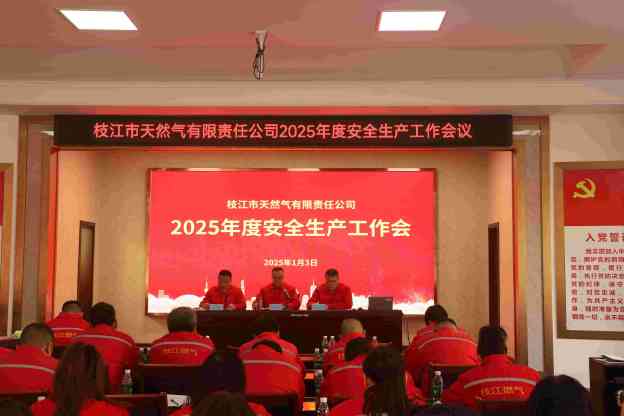 携手共筑安全防线，共创安全生产新篇章——2025年度安全生产工作会议圆满召开
